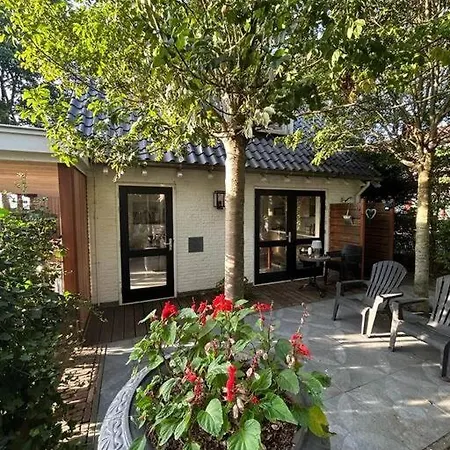 Have A Stay! - Bijsaar