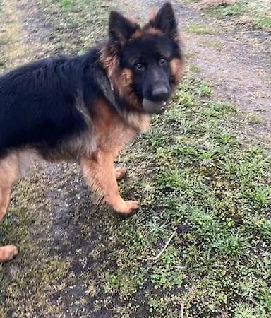 Have A Stay! - Bijsaar Noordwijk