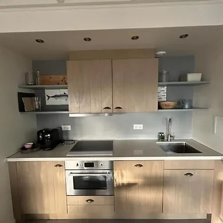 Bijsaar Holiday home *