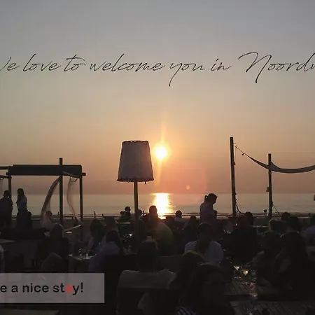 Have A Stay! - Bijsaar *