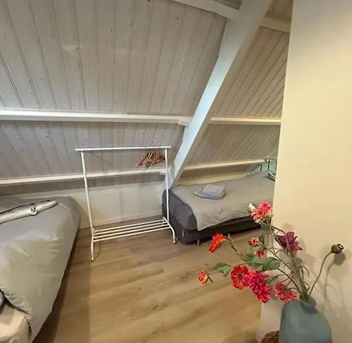 Have A Stay! - Bijsaar *