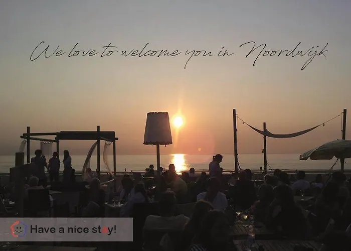 Have A Stay! - Bijsaar *