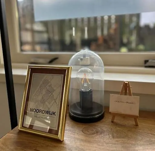 Have A Stay! - Bijsaar