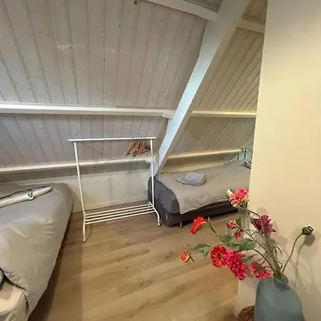 Have A Stay! - Bijsaar *