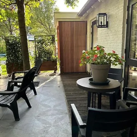 Have A Stay! - Bijsaar