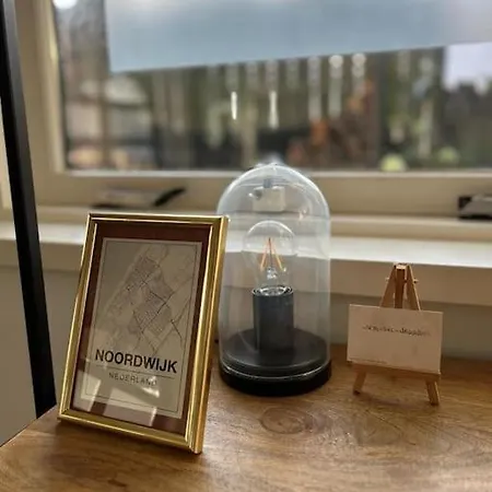 Have A Stay! - Bijsaar