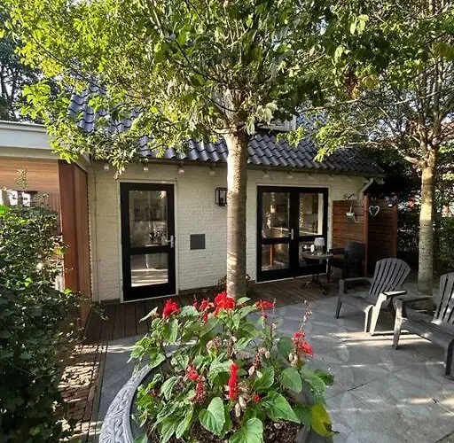 Have A Stay! - Bijsaar