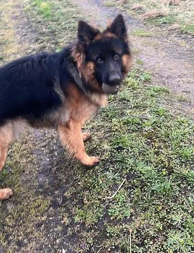 Have A Stay! - Bijsaar Noordwijk