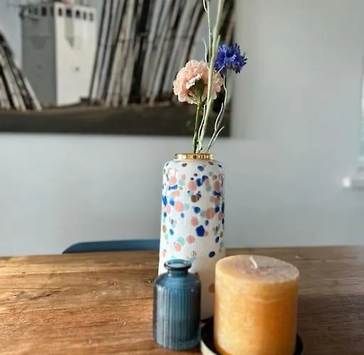 Have A Stay! - Bijsaar Hébergement de vacances