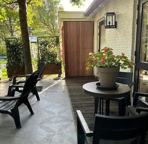 Have A Stay! - Bijsaar